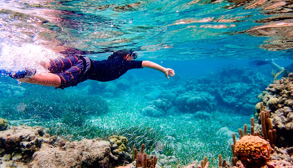 Snorkel a motor